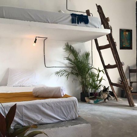 Black Jaguar Hostel Bacalar Buitenkant foto
