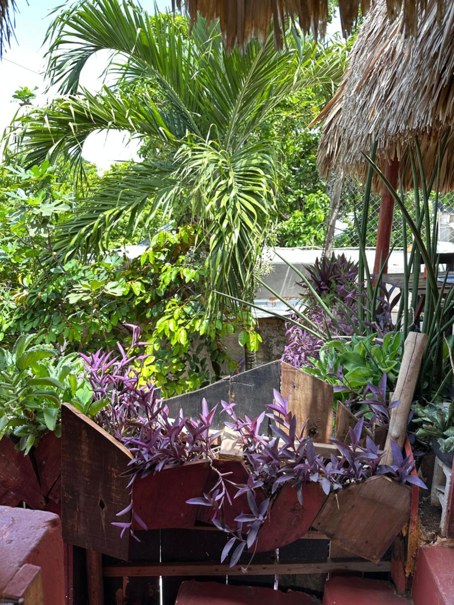 Black Jaguar Hostel Bacalar Buitenkant foto
